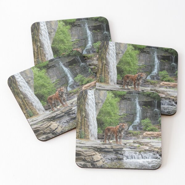Item preview, Tiger Falls designed and sold by Bob Hardy.