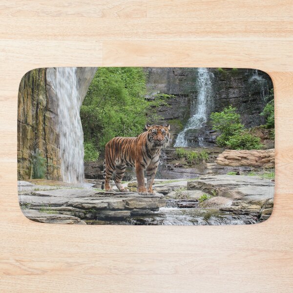 Item preview, Tiger Falls designed and sold by Bob Hardy.