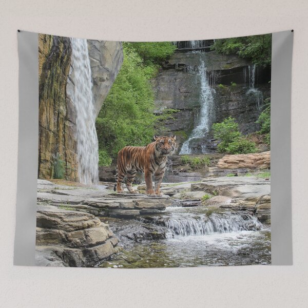 Item preview, Tiger Falls designed and sold by Bob Hardy.