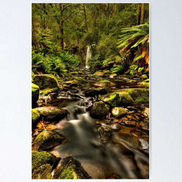 Item preview, Hopetoun Falls 2 - Otways Victoria designed and sold by Graeme Buckland.