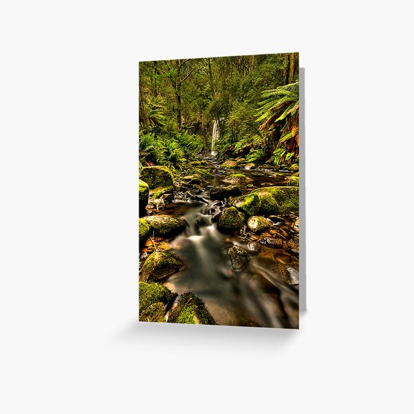 Item preview, Hopetoun Falls 2 - Otways Victoria designed and sold by Graeme Buckland.