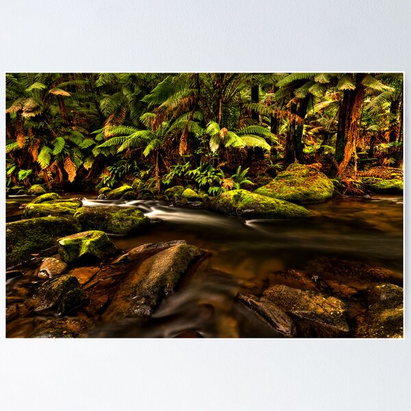 Item preview, Peacefull - Otways Victoria designed and sold by Graeme Buckland.