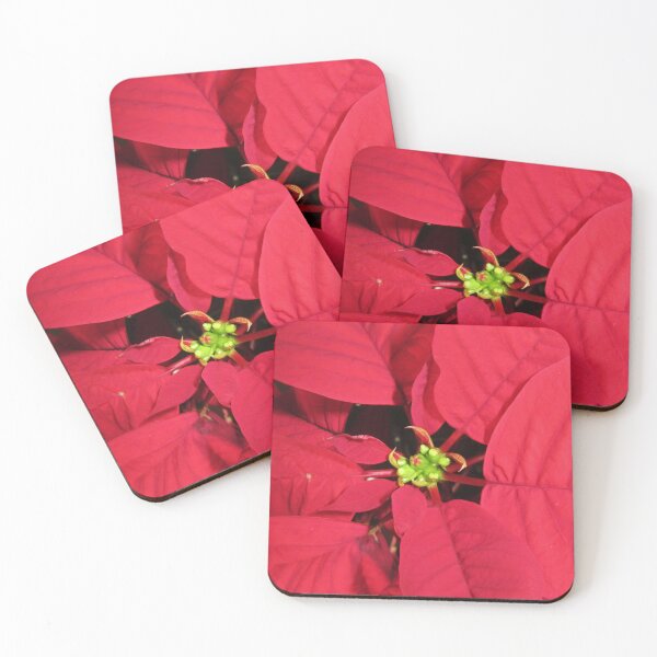 Item preview, Poinsettia Centre (Euphorbia pulcherrima) designed and sold by lezvee.