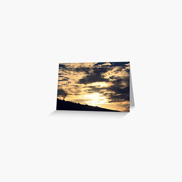 solace in the sweeping bow Greeting Card