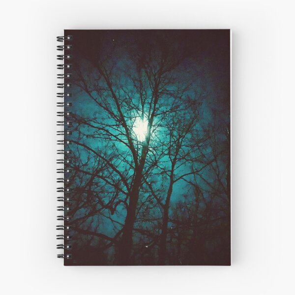 Item preview, "Web of Deceit" | Photograph by Nicholas Brendon designed and sold by NickyBrendon.
