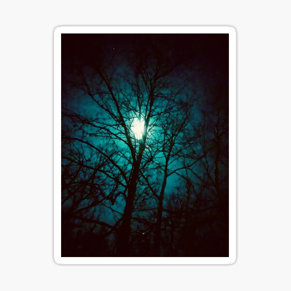 "Web of Deceit" | Photograph by Nicholas Brendon Sticker