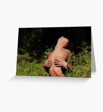 Naturist Greeting Card