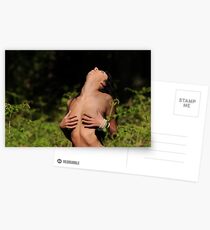 Naturist Postcards