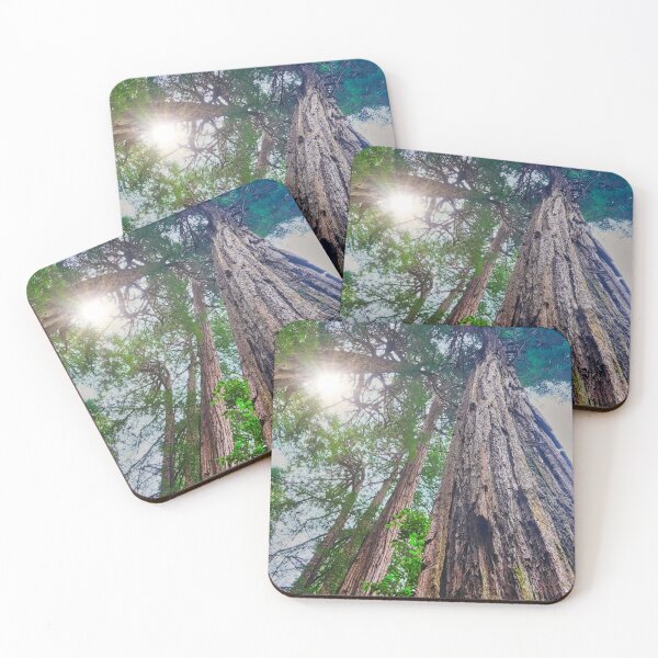 Item preview, Redwoods Rising to Sky designed and sold by dbvirago.