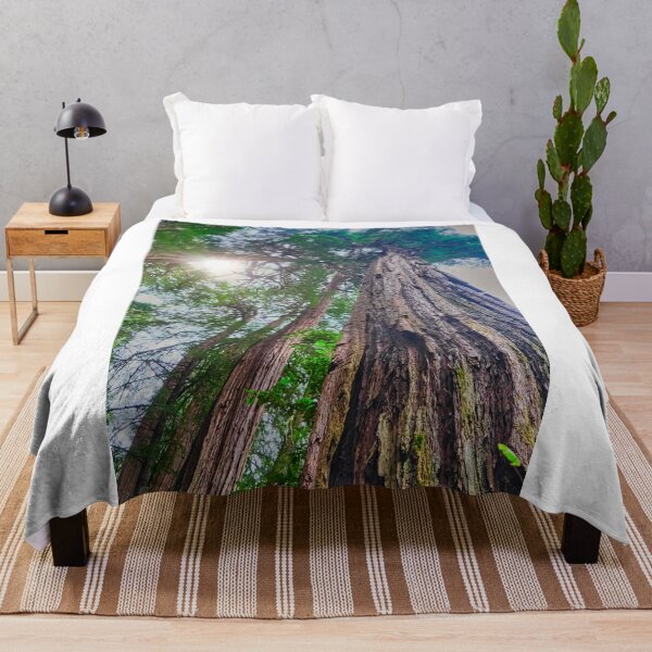 Item preview, Redwoods Rising to Sky designed and sold by dbvirago.