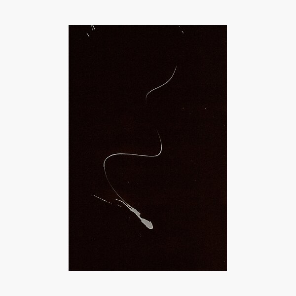 0230 - Brush and Ink - Abstract Tails 009 Photographic Print
