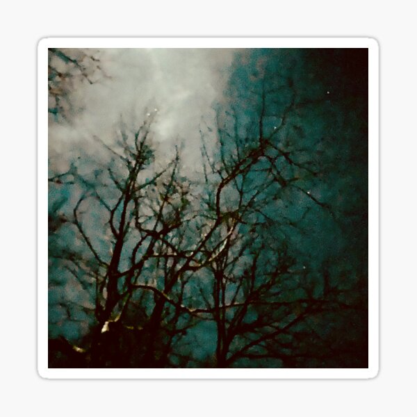 "Notwithstanding" | Photograph by Nicholas Brendon Sticker