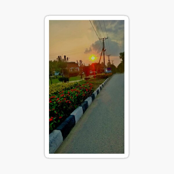 sunset Sticker
