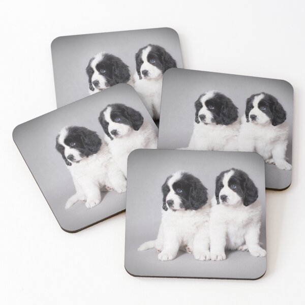Item preview, Landseer puppies designed and sold by PetsArt.