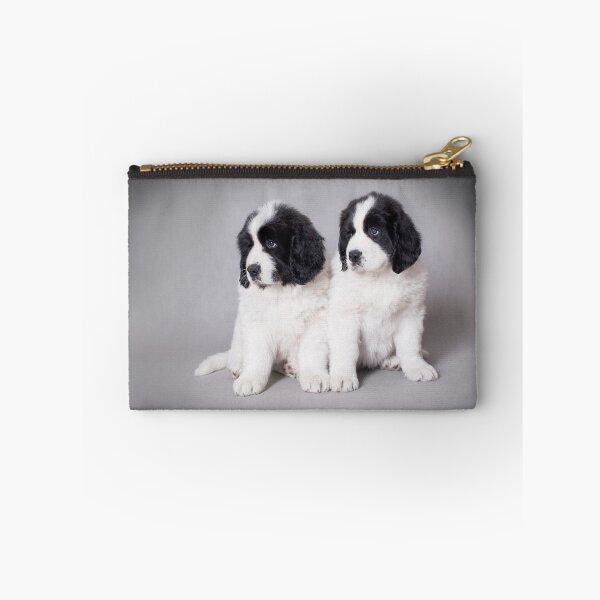 Item preview, Landseer puppies designed and sold by PetsArt.