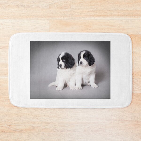 Item preview, Landseer puppies designed and sold by PetsArt.