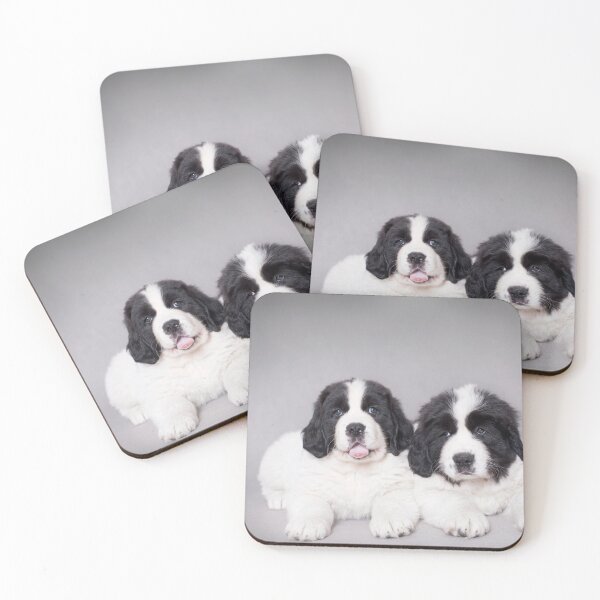 Item preview, Landseer puppies designed and sold by PetsArt.