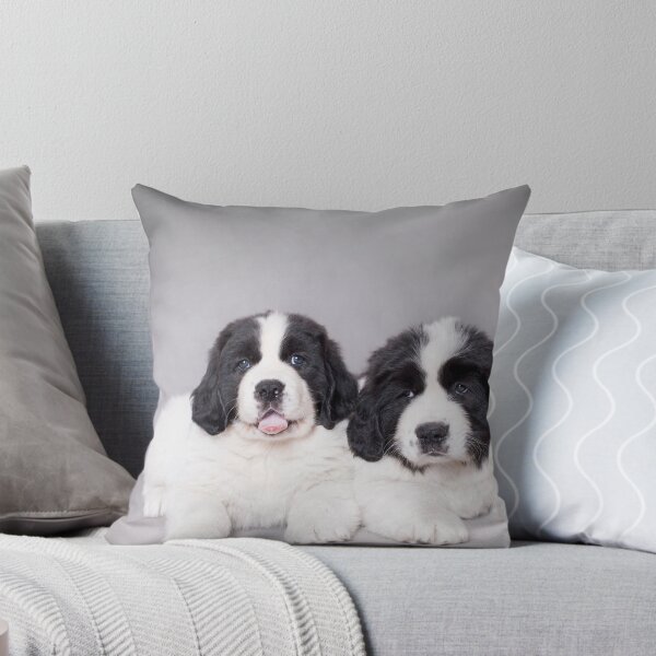 Item preview, Landseer puppies designed and sold by PetsArt.