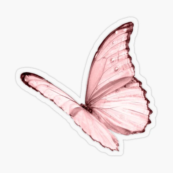 Pink butterfly Sticker for Sale by spacecatxx