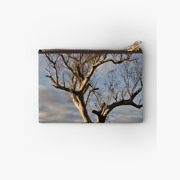 Item preview, Aranda Bushland Nature Reserve (9) designed and sold by Wolf Sverak Photography.
