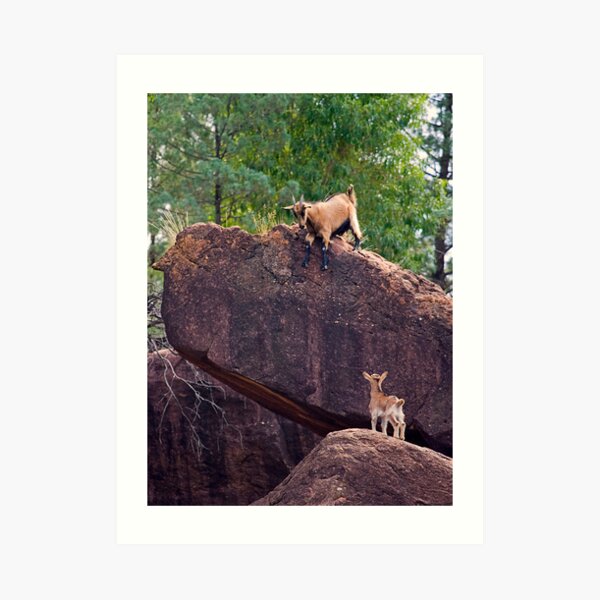 Mamaaaaaaaaaaaaa Art Print
