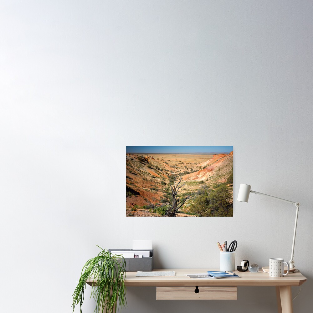 Painted Desert Valley Poster