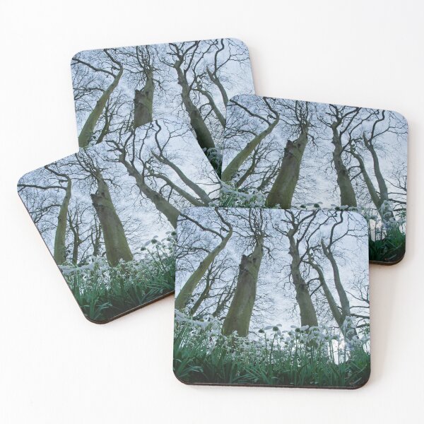 Item preview, under the snowdrops and beeches designed and sold by Brian  Dwyer.