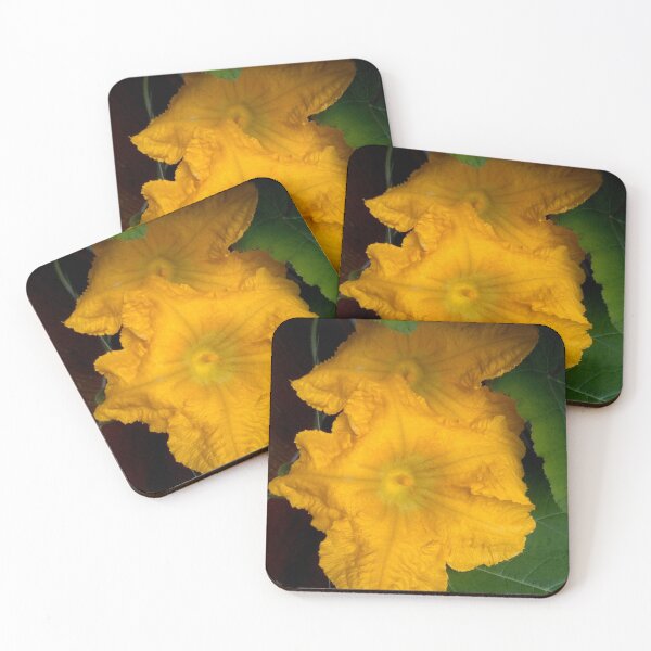 Item preview, Pumpkin Blossom designed and sold by hajarsdeco.