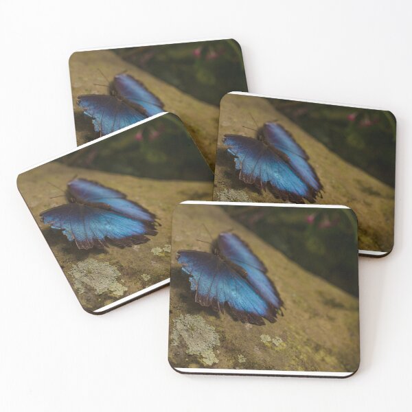 Item preview, Tattered but still beautiful designed and sold by ekheart.