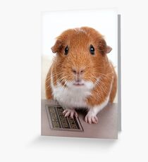 Guinea Pig Gets An Education Grußkarte