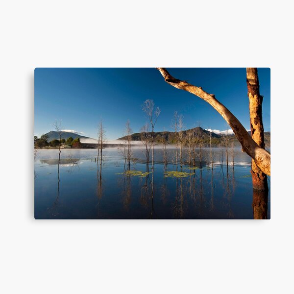 FIRST DAY OF WINTER Canvas Print