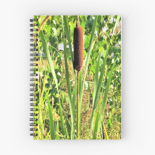 Item preview, Bulrush designed and sold by Lesliebc.