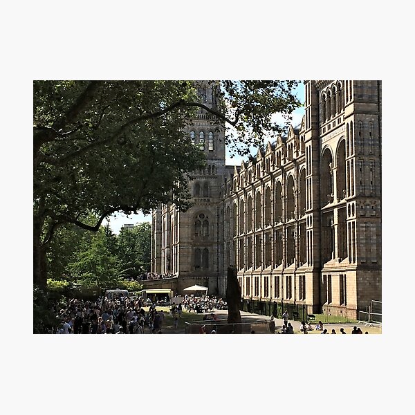 Item preview, Natural History Museum, London - CS-008 designed and sold by roryridleyduff.