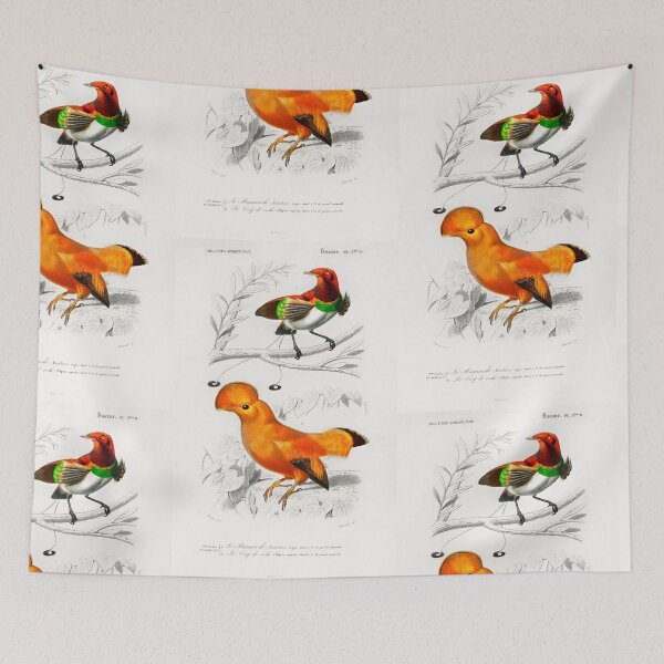 Artikelvorschau, Exotic birds vintage illustration entworfen und verkauft von Vintage Designs +.