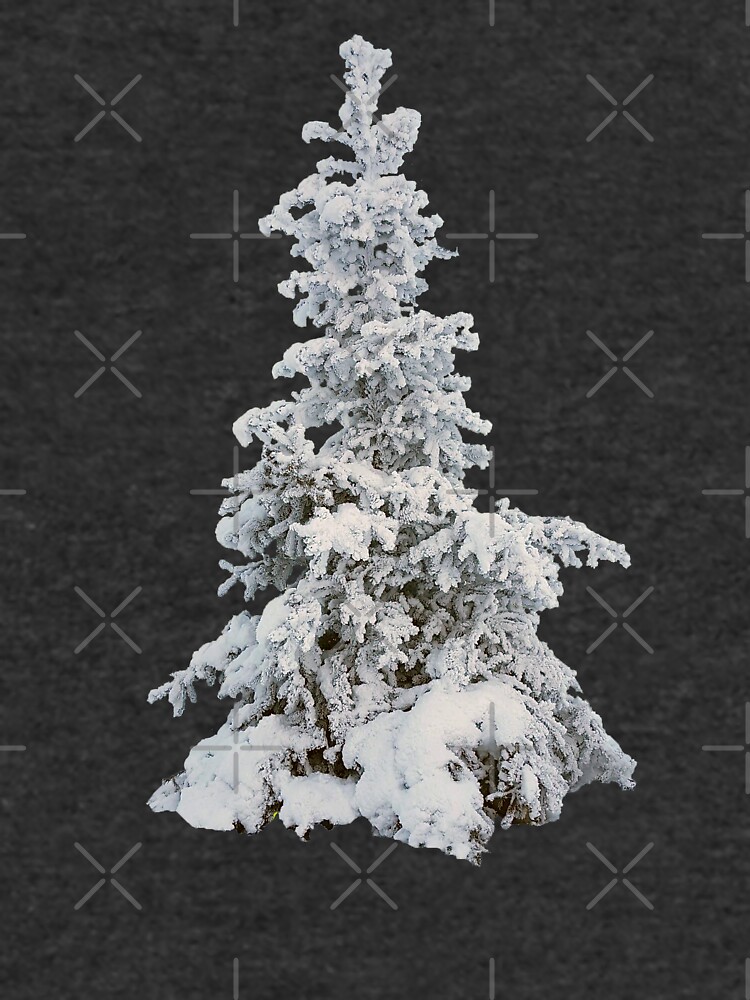 Frosty Tree on a Foggy Winter Day by EmilyBickell