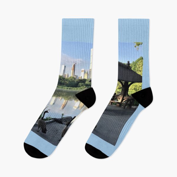 Item preview, Central Park, New York - CS-011 designed and sold by roryridleyduff.