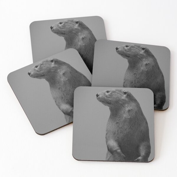 Item preview, Why I Otter designed and sold by ekheart.