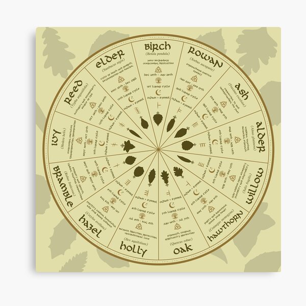  Celtic Ogham Tree Calendar Canvas Print For Sale By AliceandtheBird Redbubble