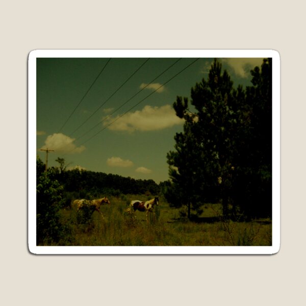 Item preview, Horse Capital of the World designed and sold by ekheart.