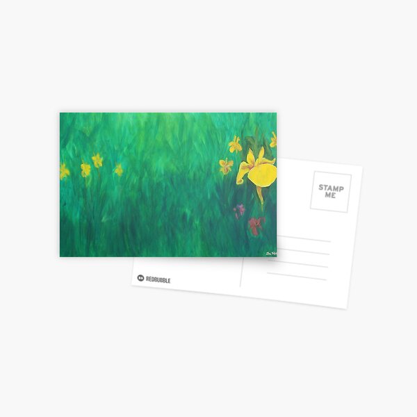 Yellow Iris. Postcard