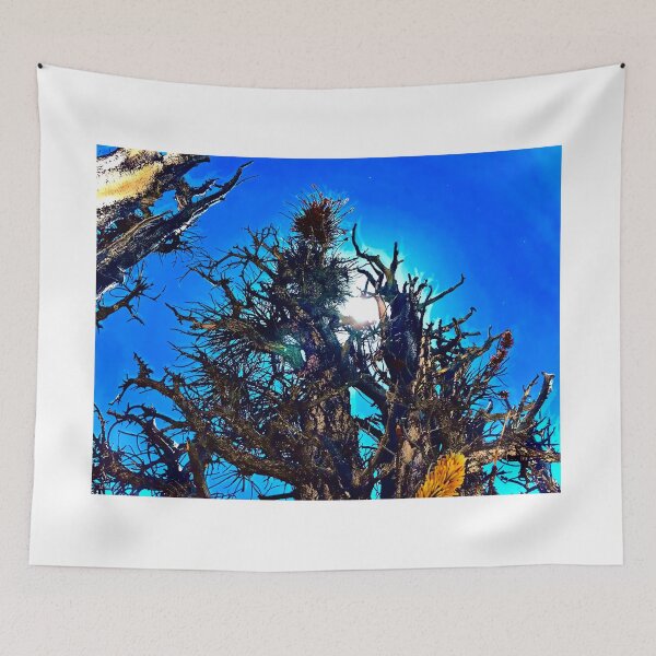 Item preview, Sun Shining Through a Dead Tree designed and sold by bigberzerk.