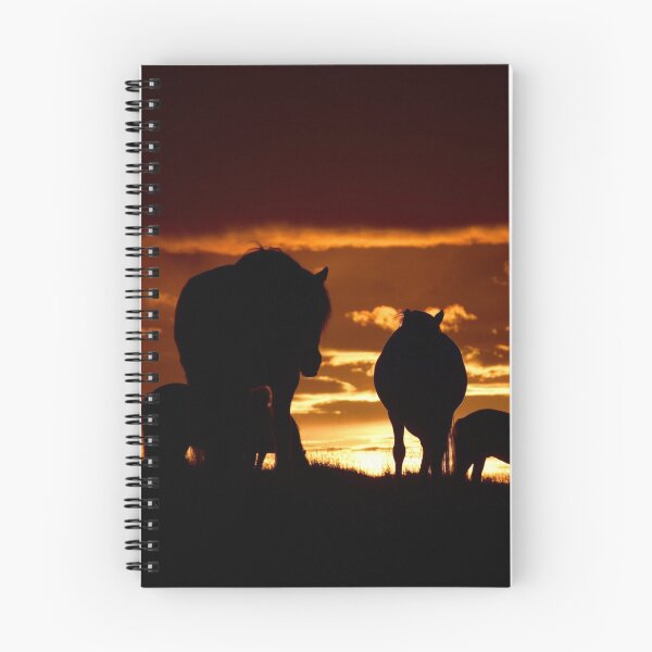 Item preview, Icelandic horses in the midnight sun designed and sold by elisainiceland.