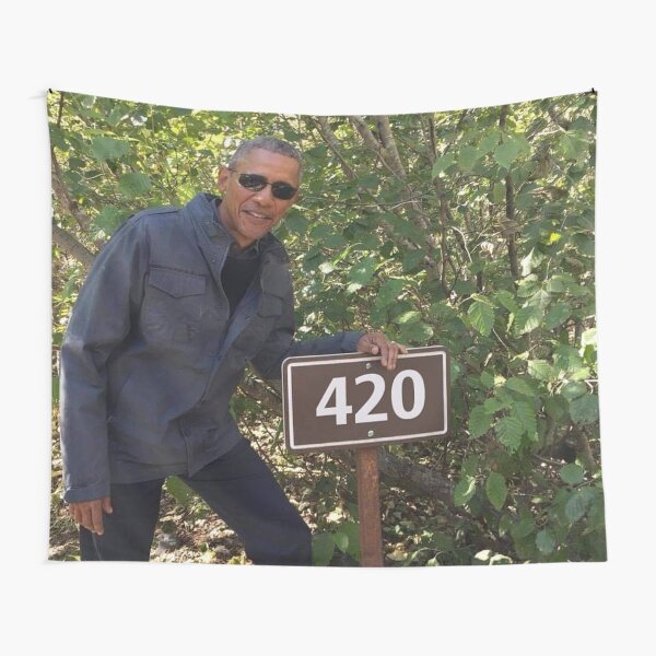 Funny Tapestries Redbubble