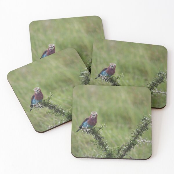 Item preview, Serengeti sunbird designed and sold by Fikkels.