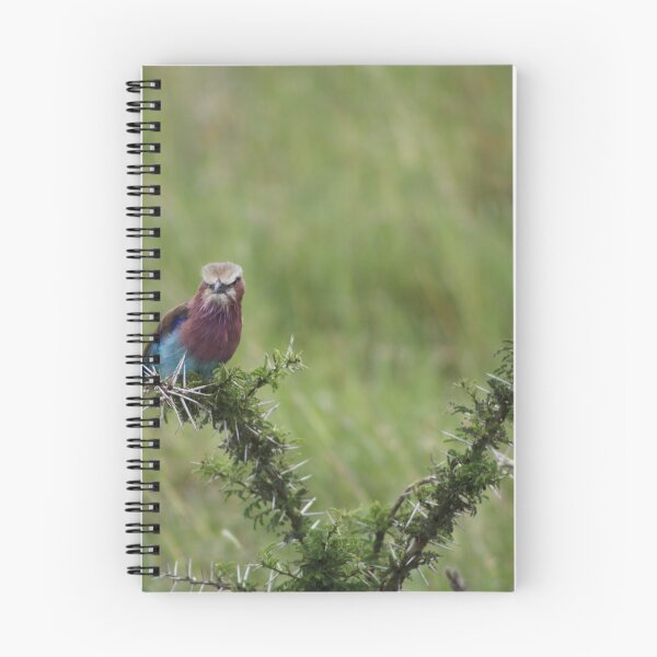 Item preview, Serengeti sunbird designed and sold by Fikkels.