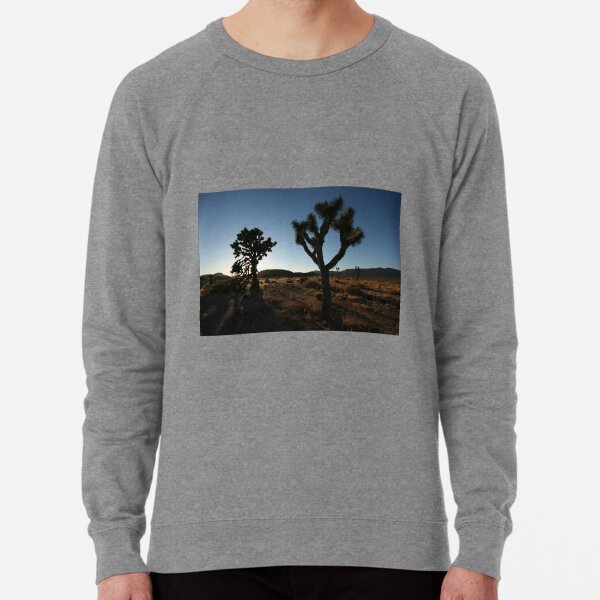 Into This Night I Wander Lightweight Sweatshirt