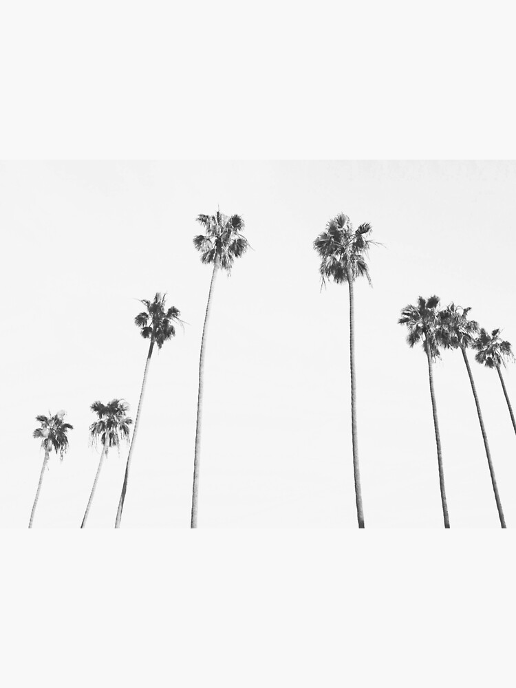"Palm Trees, Black and White, Modern Minimalist Art" Poster for Sale by