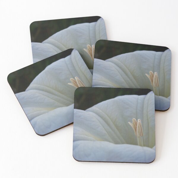 Item preview, Datura Flower designed and sold by Douglas E. Welch Design and Photography.