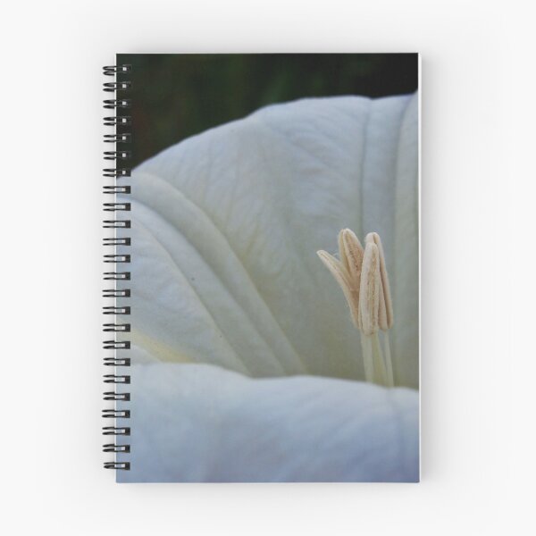 Item preview, Datura Flower designed and sold by Douglas E. Welch Design and Photography.