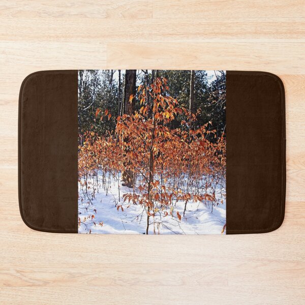 Item preview, Beech Trees In Winter designed and sold by Debbie Oppermann.